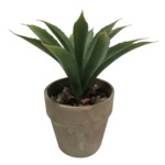 Umelý kvet v kvetináči SUKULENT 23,5 cm