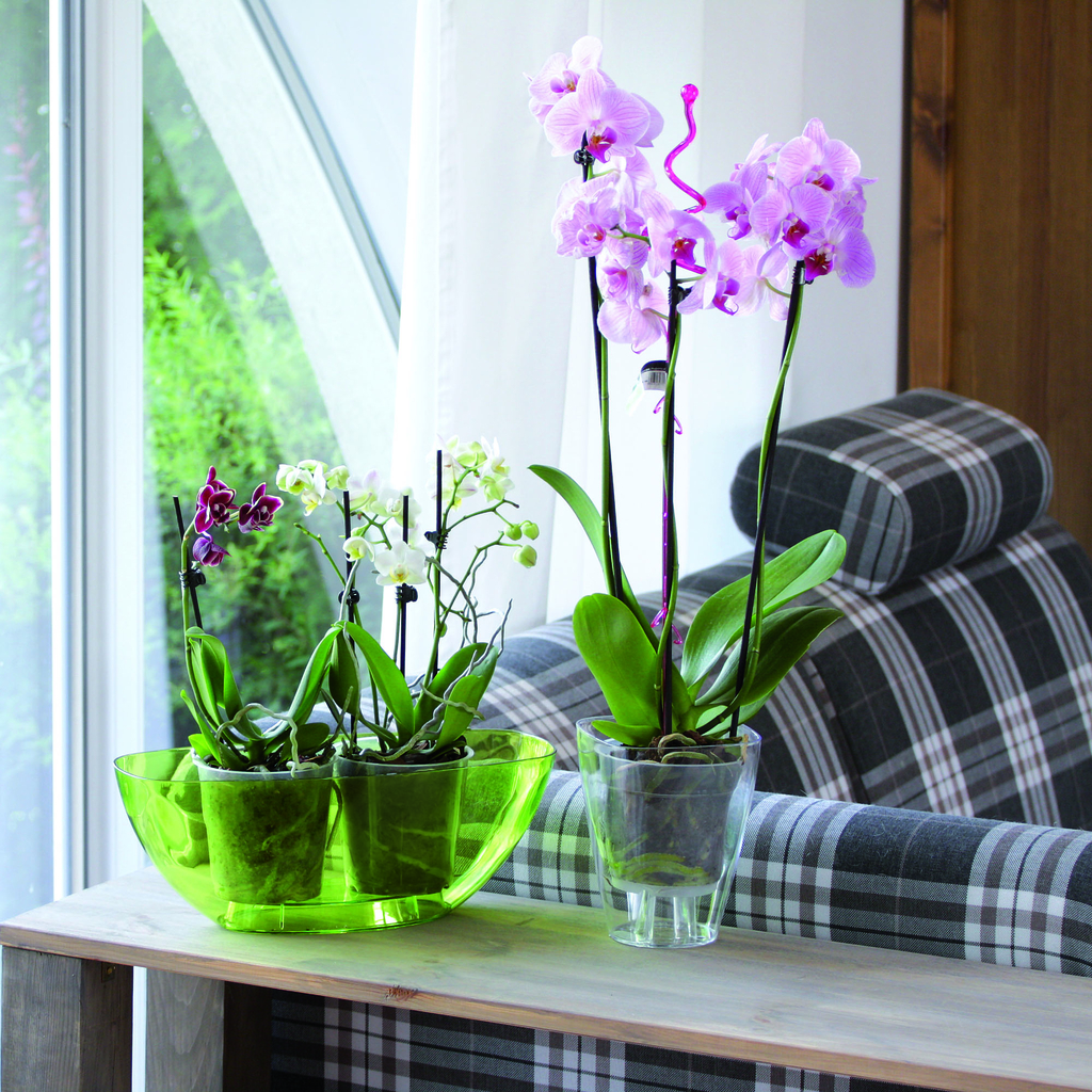 Priehľadný kvetináč COUBI na orchidey 13,2x16,5 cm