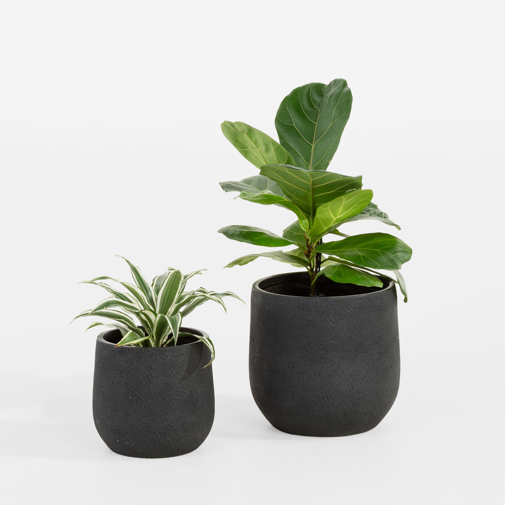 Súprava 2 čiernych kvetináčov