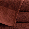 Bavlnený terakotový uterák MASSIMO 50 x 90 cm