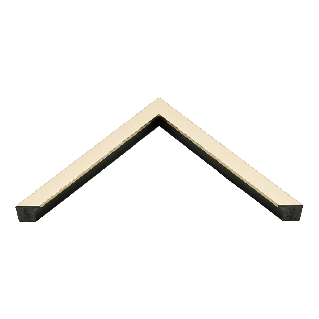 Obraz BUTTERFLY II 53 x 73 cm