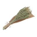 Sušená okrasná tráva v kytici 62 cm