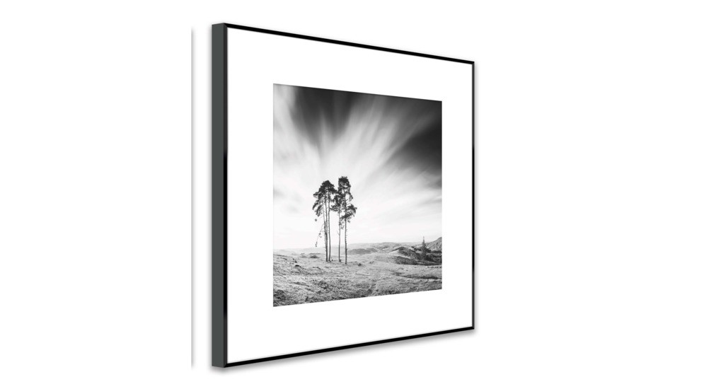Obrázok ARTBOX TREES 50x50 cm