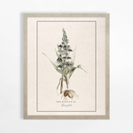 Obraz s orchideou BOTANIC 40x50 cm