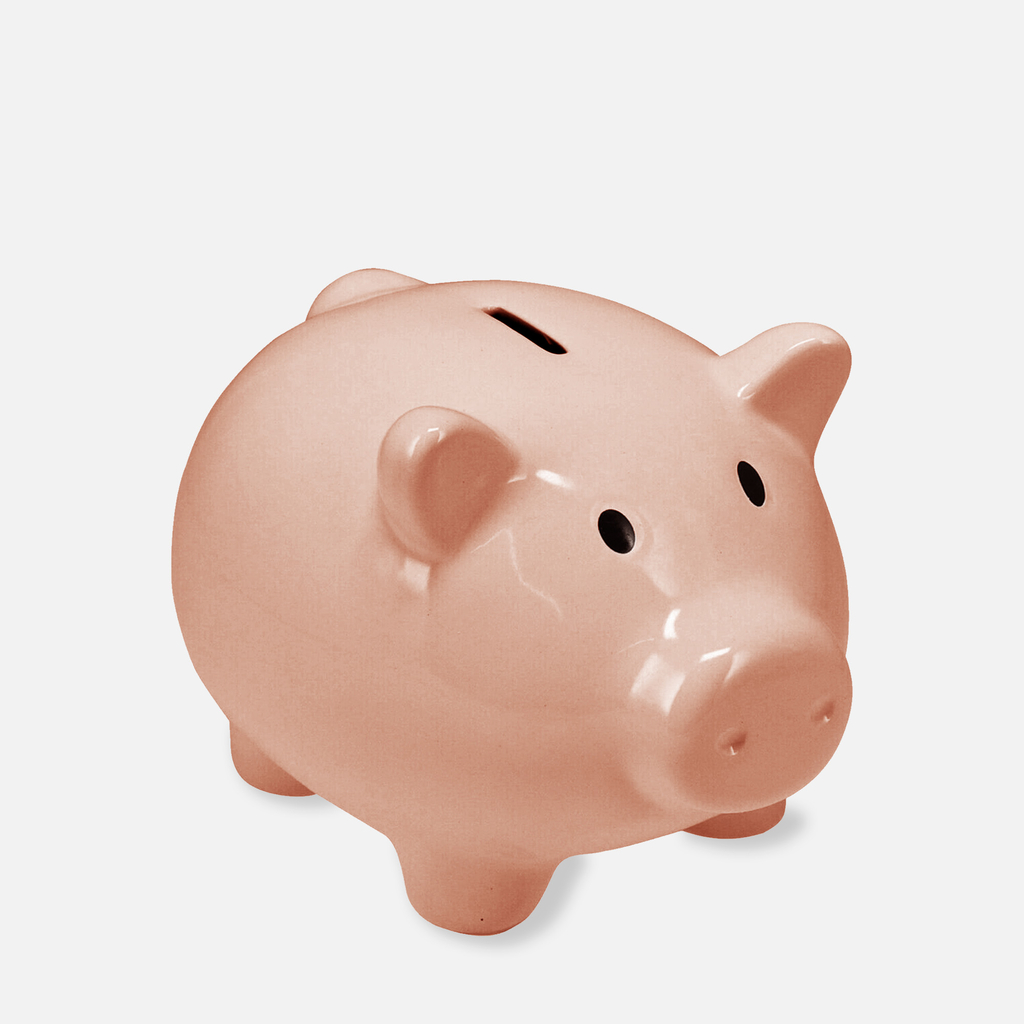 Pokladnička prasiatko 18x15x13 cm MIX