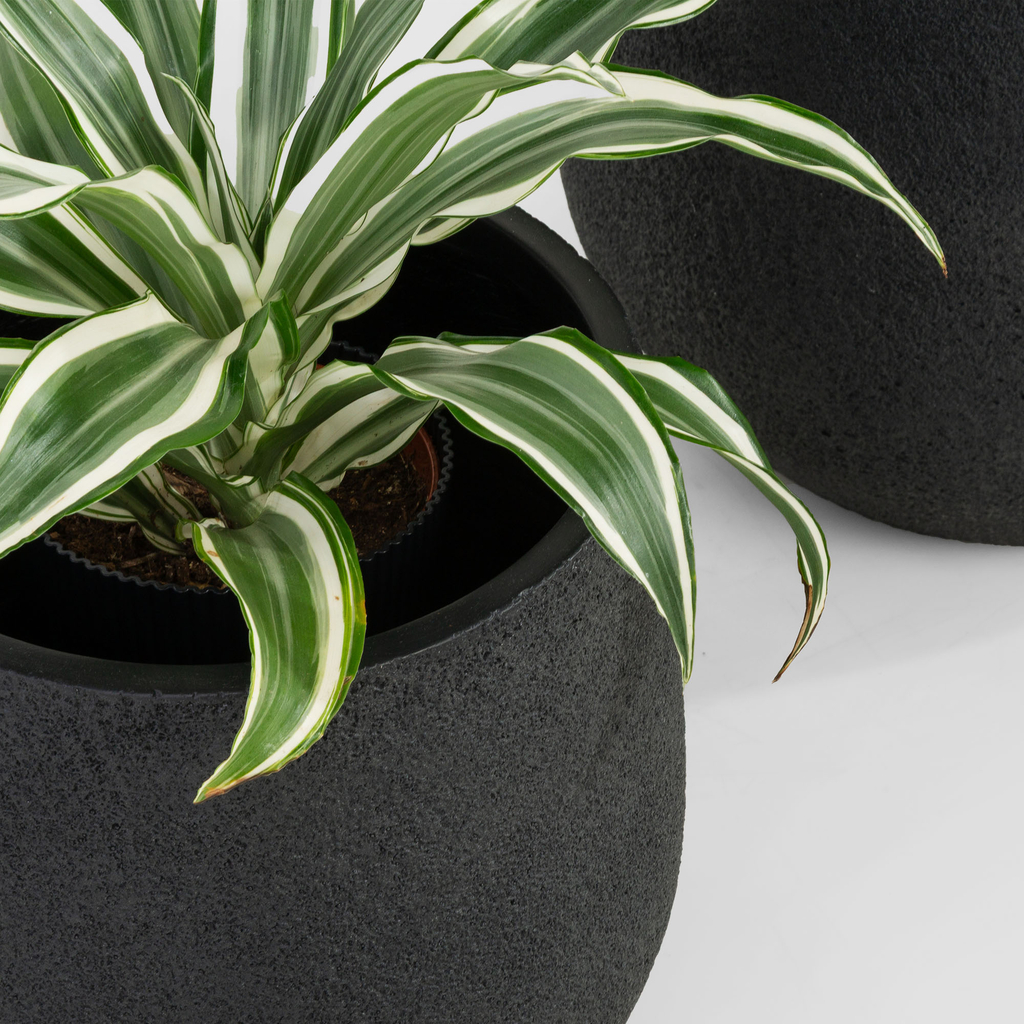 Súprava 2 čiernych kvetináčov