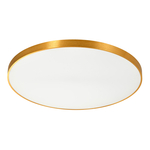 Stropná lampa LED okrúhla zlatá SIERRA 80 cm