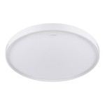 Stropné svietidlo LED 48W biely FABIO 48,5 cm