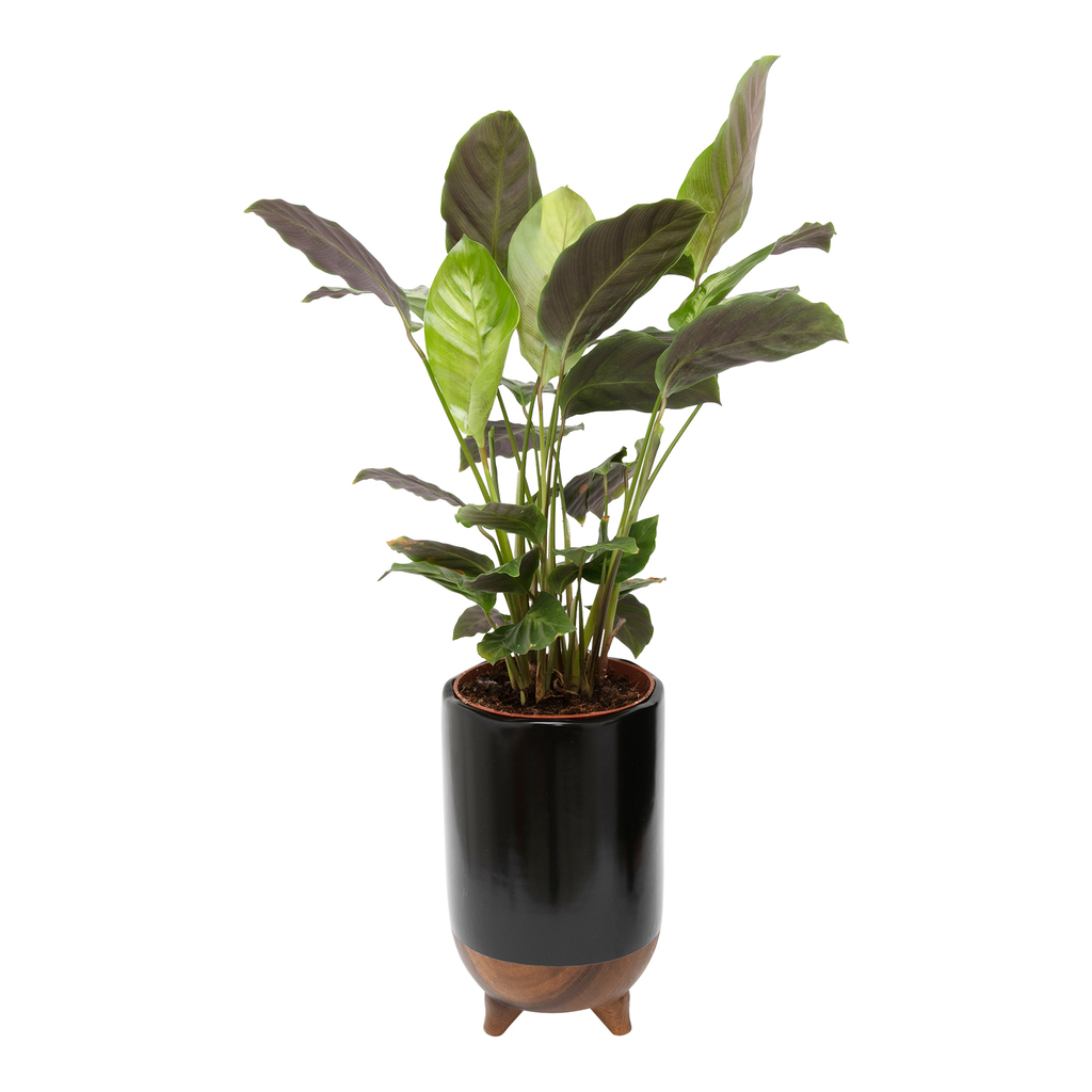 Keramická váza boho čierno-hnedá 27 cm