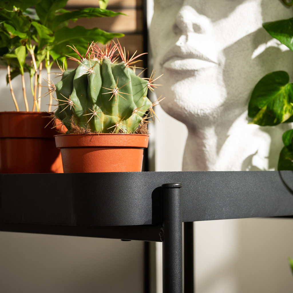 Servírovací vozík HERSTO