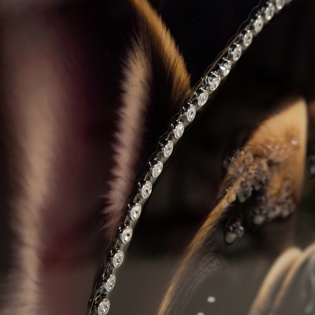 Obraz na plátne PES I 60x80 cm