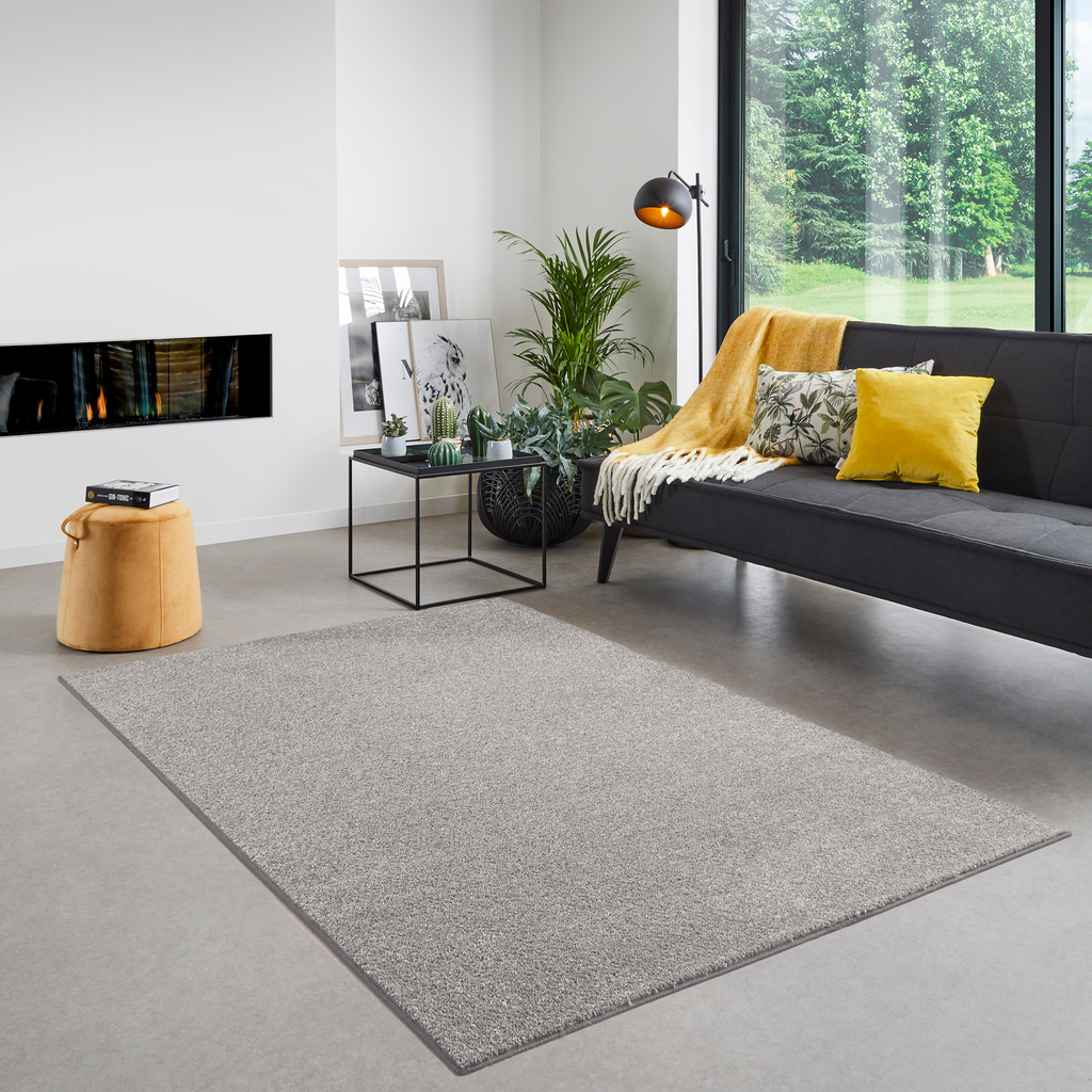 Koberec svetlosivý CLEVER 140x200 cm