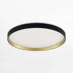 LED stropné svietidlo okhrúhle čierno-zlaté ORBITRAL s diaľkovým ovládačom