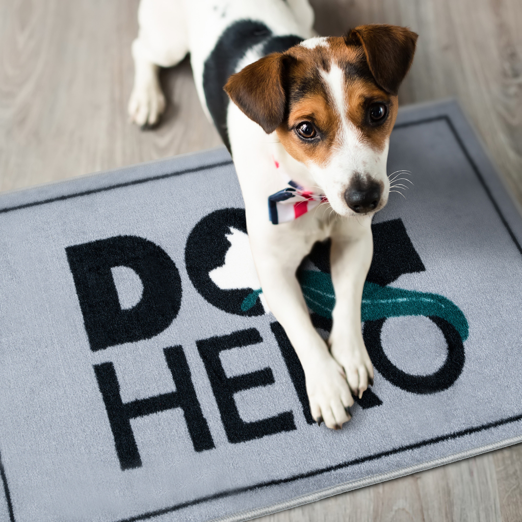 Protišmykový koberček DOG&CAT HERO UNI 40x60 cm