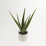 Umelý kvet v kvetináči ALOES 30 cm