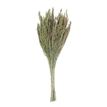Sušená dekoratívna tráva v kytici zelená 62 cm
