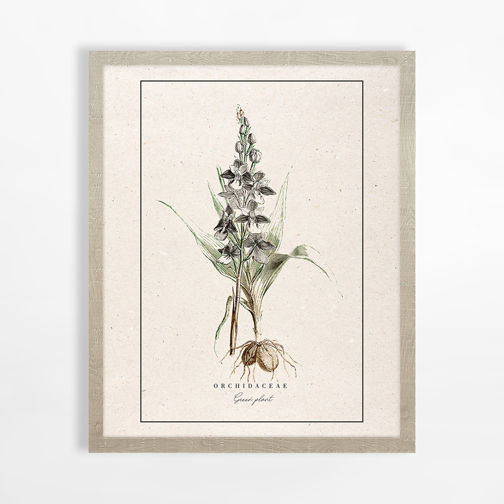 Obraz s orchideou BOTANIC 40x50 cm