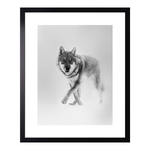 Obraz WOLF 43 x 53 cm