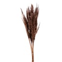Dekoratívna sušená tráva 90 cm