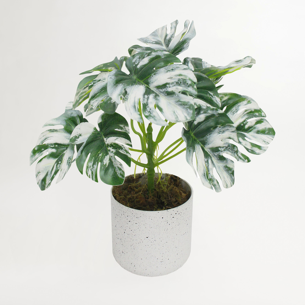 Umelý kvet v kvetináči MINI MONSTERA II 25 cm