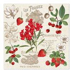 Papierové obrúsky SUMMER FRUITS 20 ks.