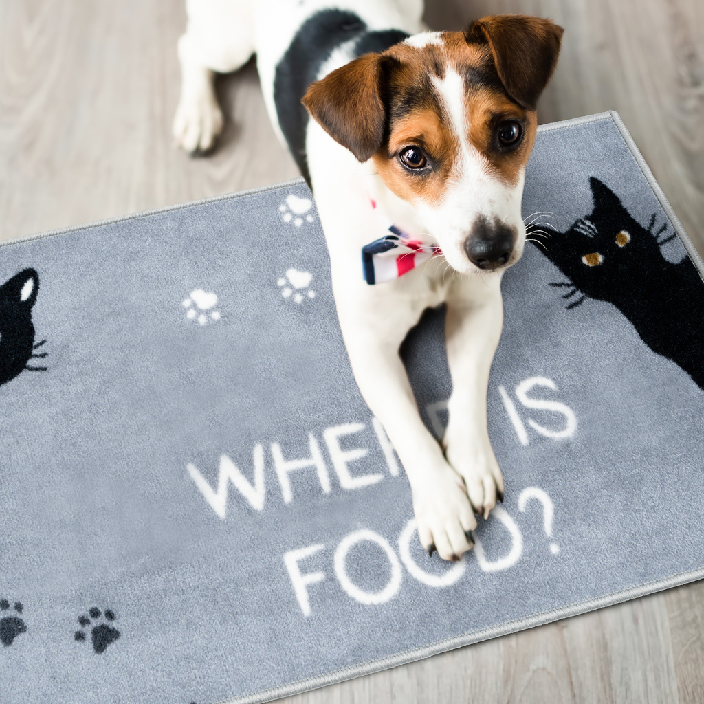Protišmykový koberček DOG&CAT WHERE IS FOOD 40 x 60 cm