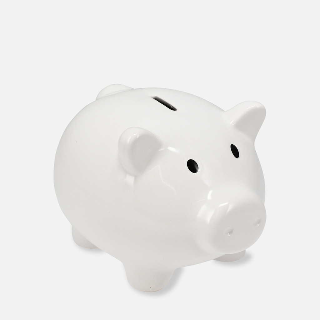 Pokladnička prasiatko 18x15x13 cm MIX