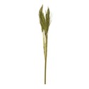 Dekoratívna sušená tráva 90 cm
