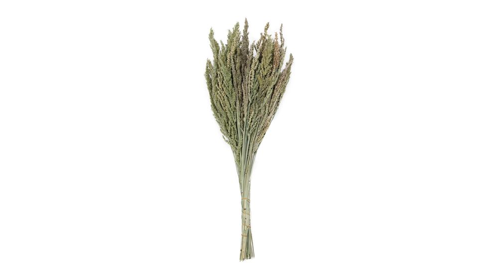 Sušená dekoratívna tráva v kytici zelená 62 cm