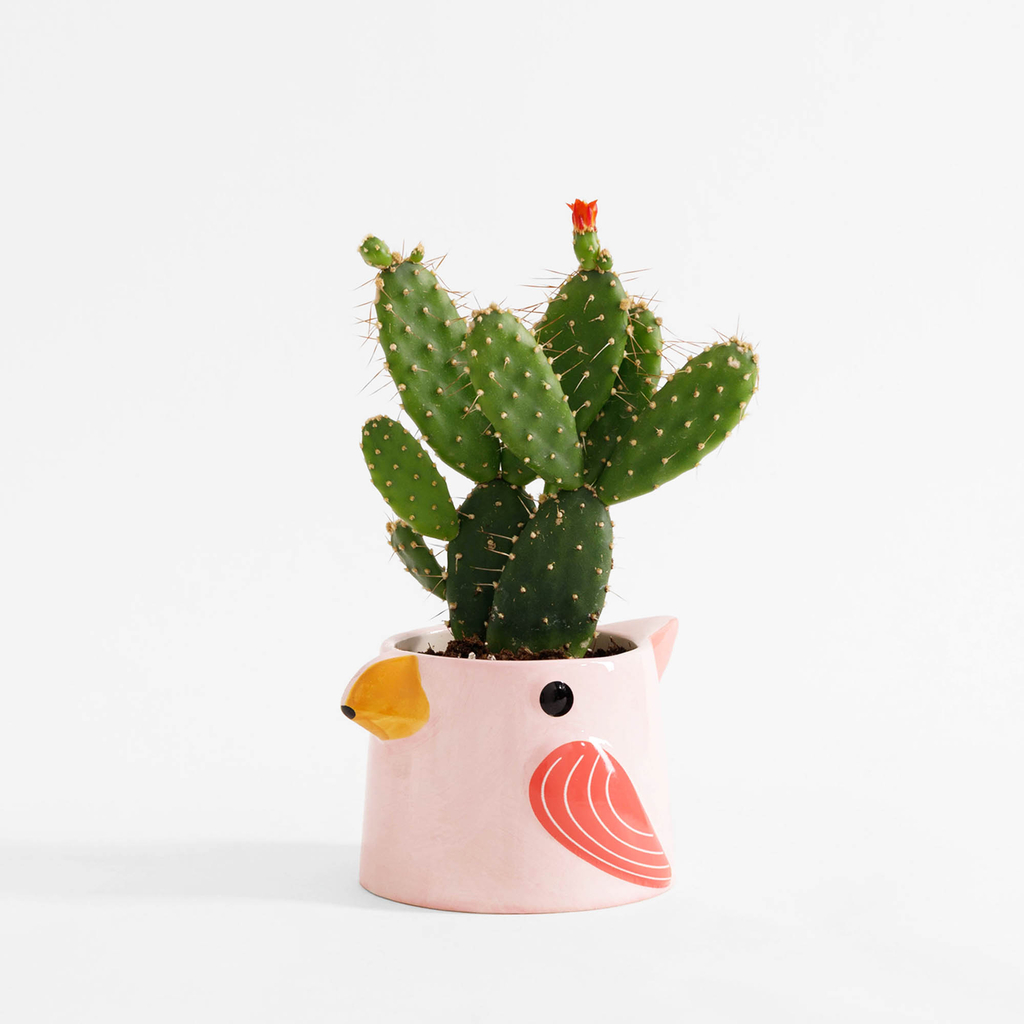 Kvetináč na balkón, vták, MIX