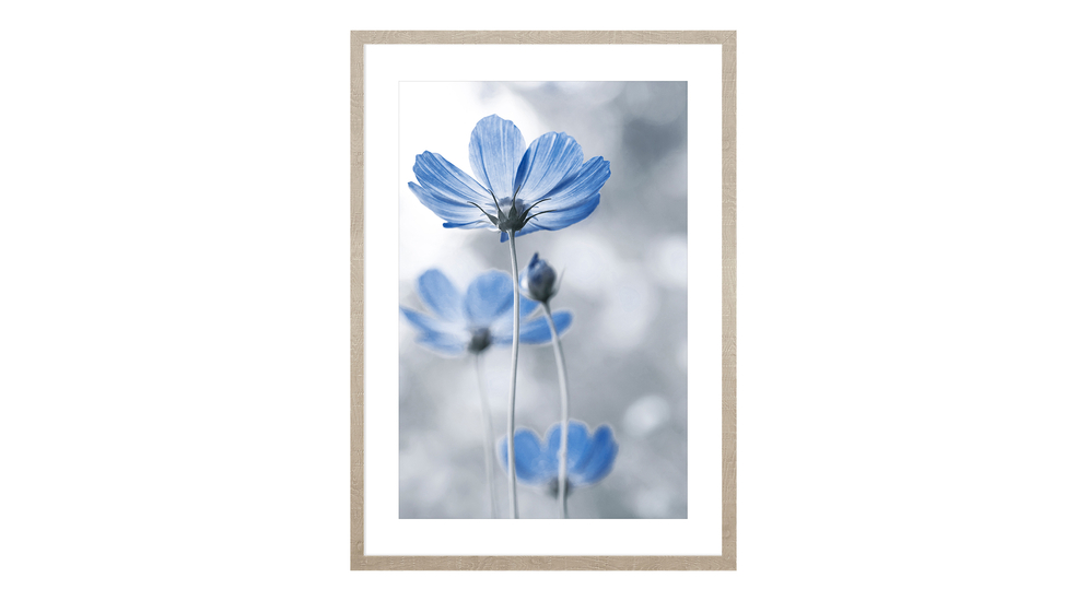 Obraz modrých kvetov BLUE NATURE I 53x73 cm