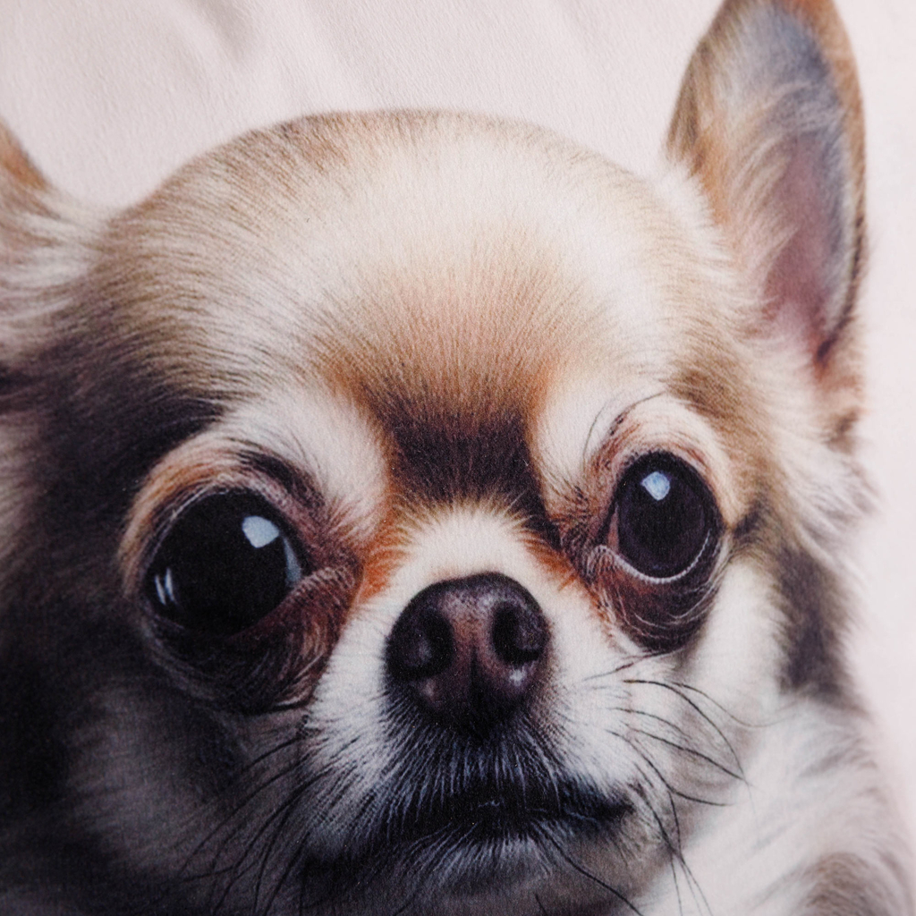 Dekoračný vankúš PES chihuahua 50x50 cm