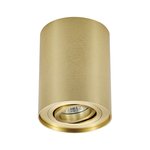 Bodové svietidlo na povrchovú montáž RONDOO nastaviteľné zlaté