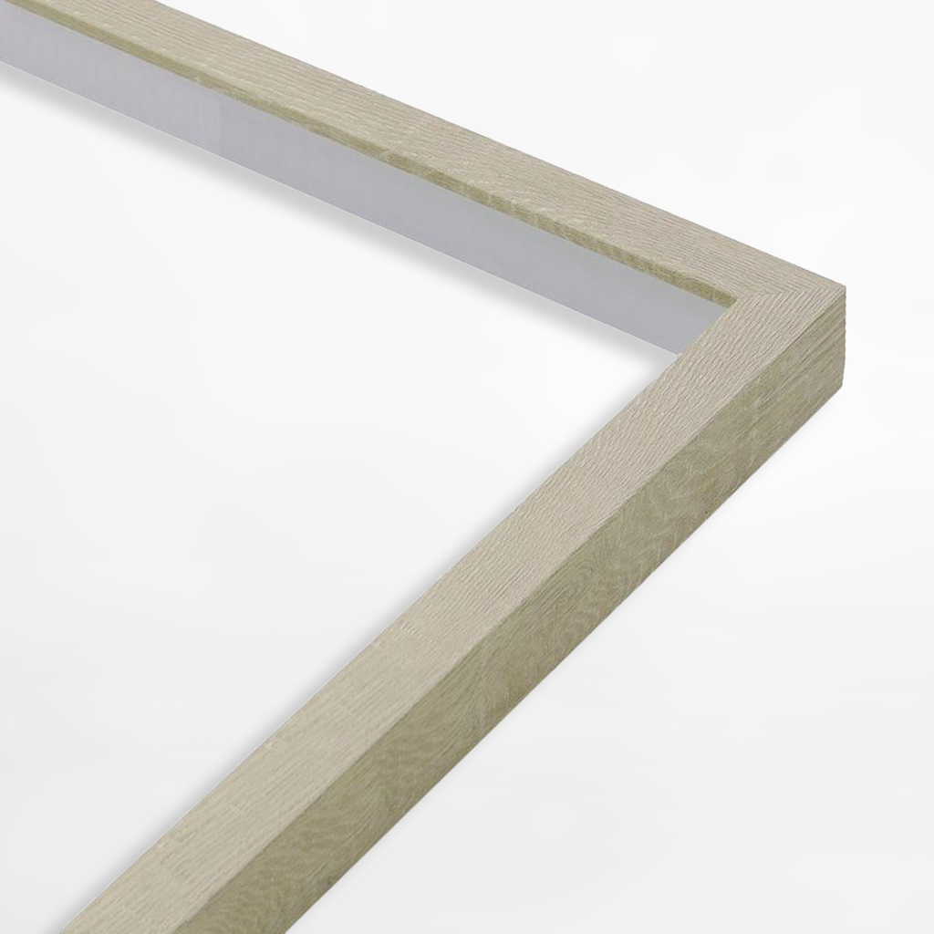 Obraz s orchideou BOTANIC 40x50 cm