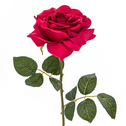 Umelý kvet RUŽA bordová 53 cm