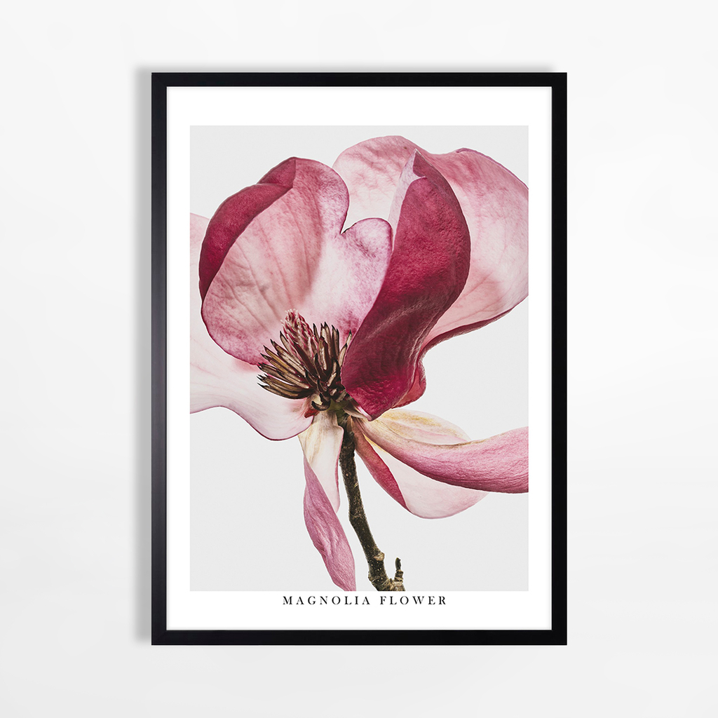 Obraz RED FLOWER II do obývacej izby 50x70 cm