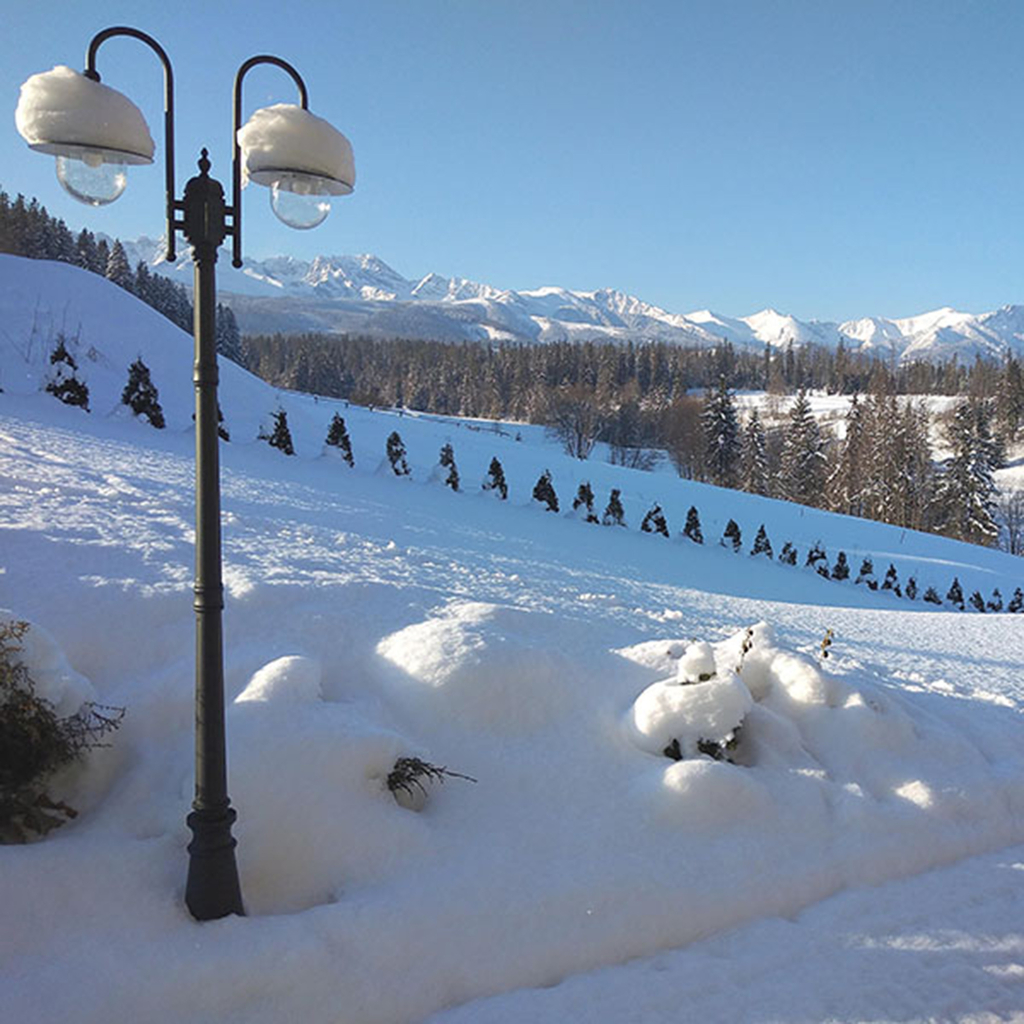 Vonkajšia vysoká dvojramenná lampa BOSTON čierna