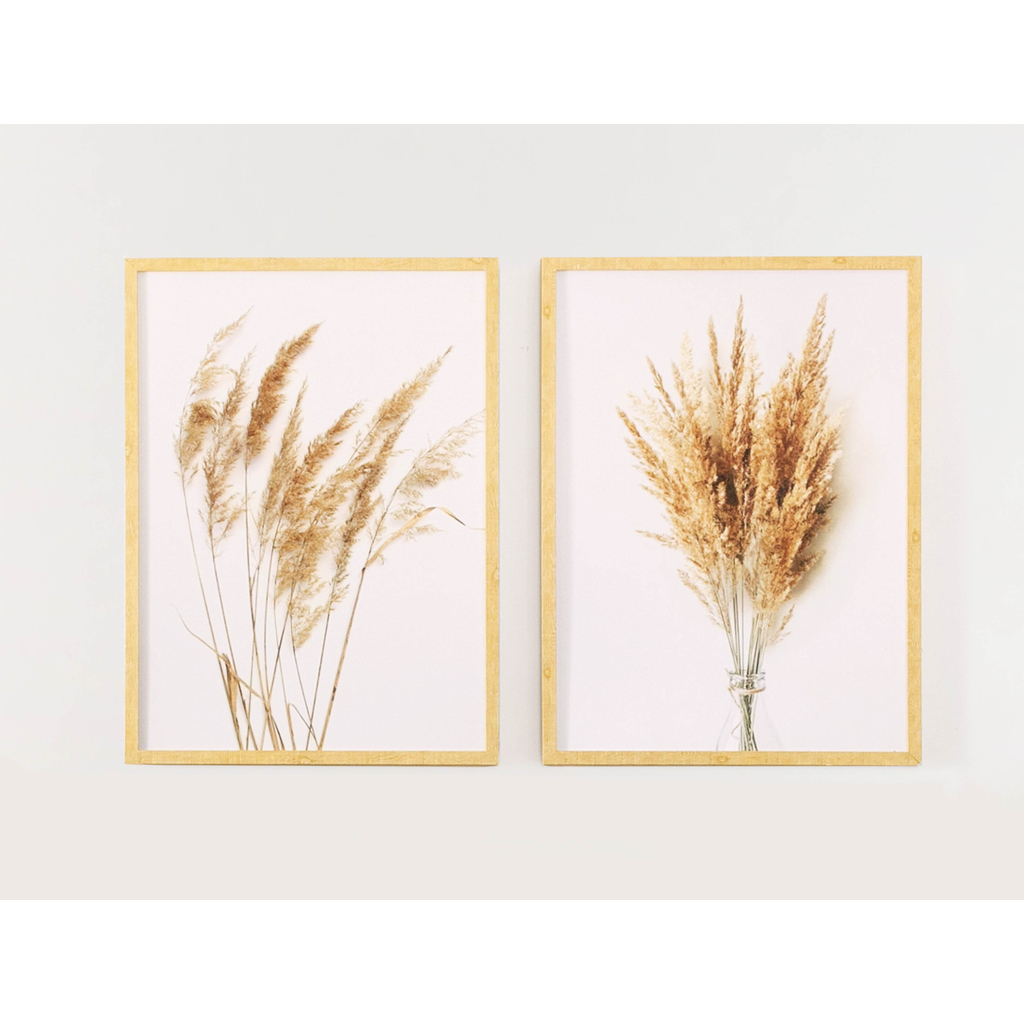Obraz PAMPAS GRASS II 53 x 73 cm