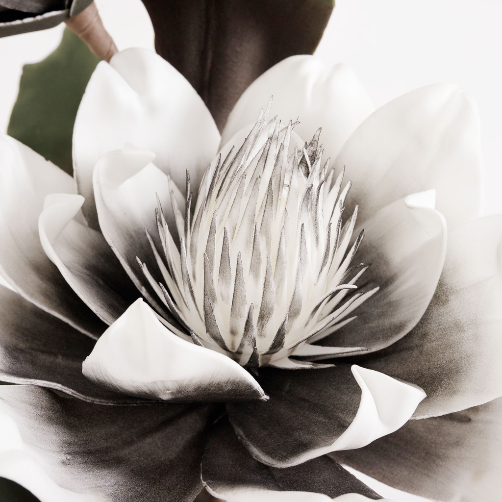 Umelý kvet magnólie sivý 103 cm