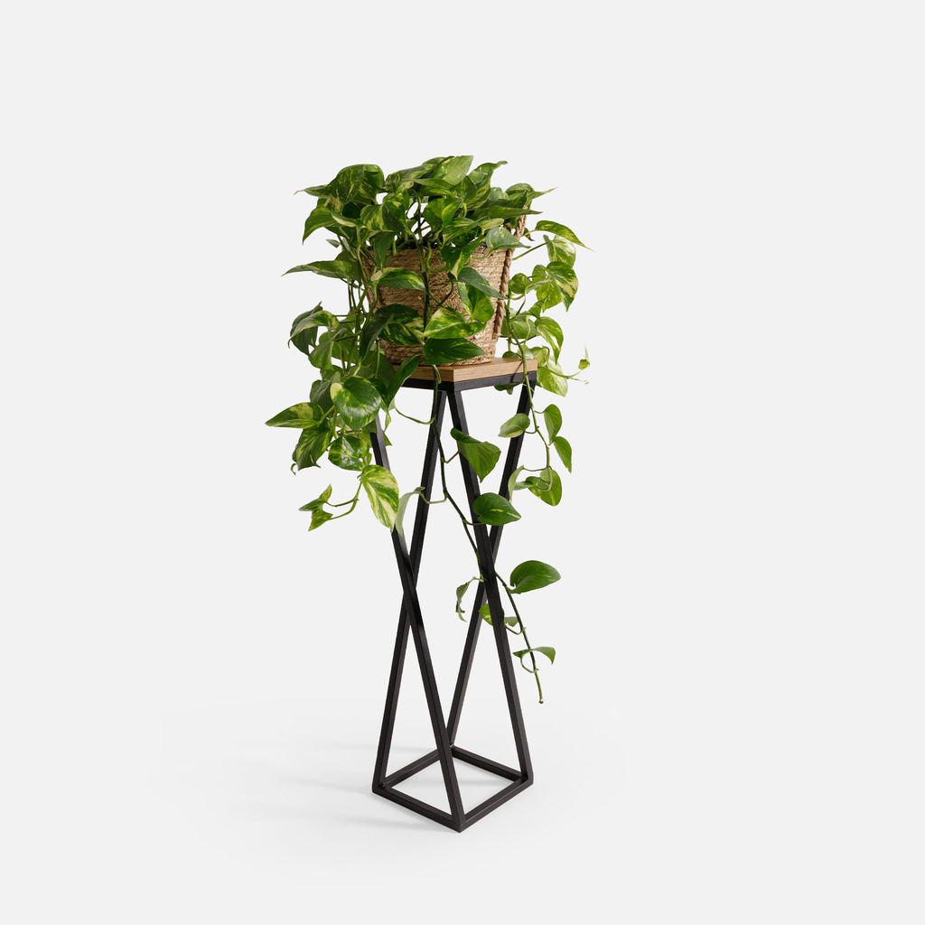 Loftový stojan na kvety, čierny dub LESCAR XS 47 cm