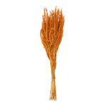 Dekoratívna sušená tráva v kytici 62 cm oranžová