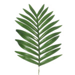 Umelý PALMOVÝ LIST 60 cm