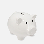 Pokladnička prasiatko 18x15x13 cm MIX