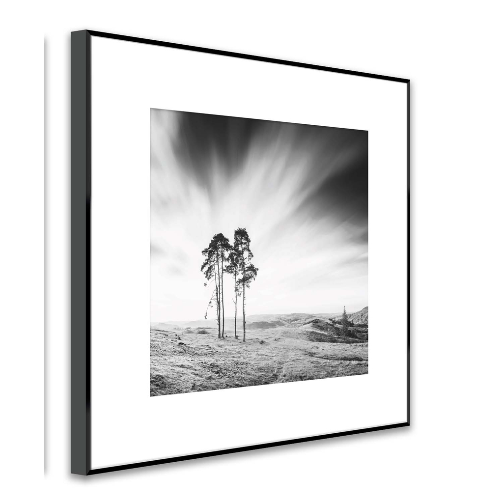 Obrázok ARTBOX TREES 50x50 cm