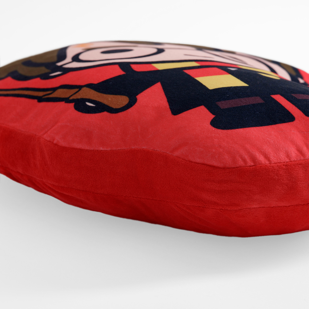 Vankúš plyšák HARRY POTTER 50x43 cm