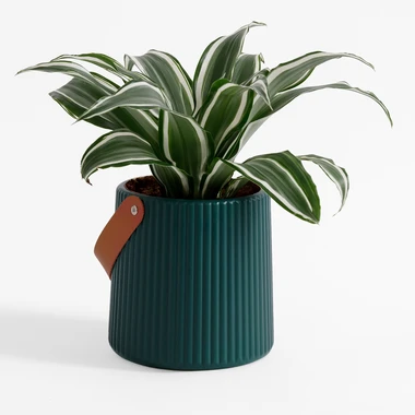 Kvetináč s rukoväťou zelený 15 cm