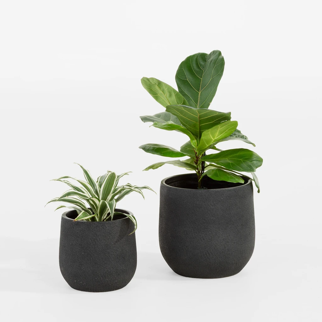 Súprava 2 čiernych kvetináčov