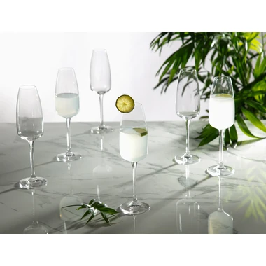 Sada 6 pohárov na šampanské ANSER