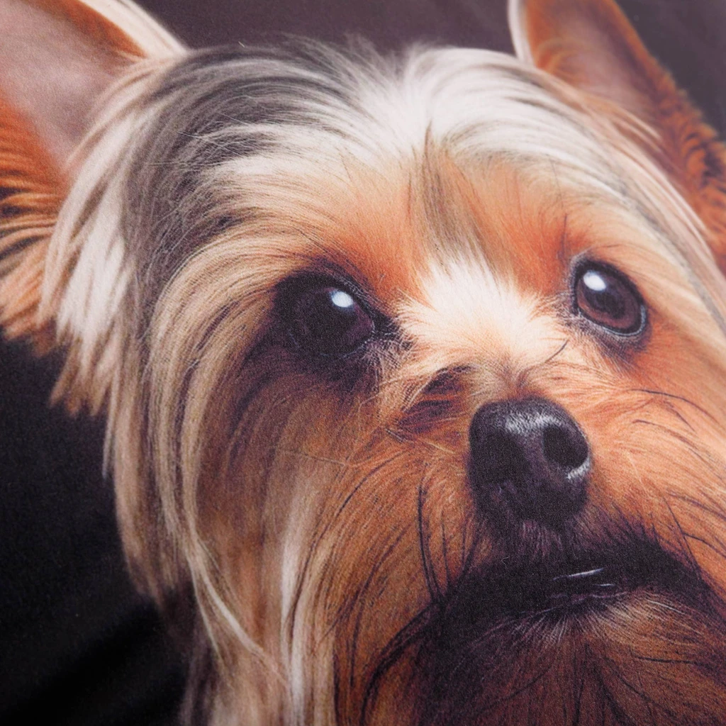 Dekoračný vankúš PES york 50x50 cm