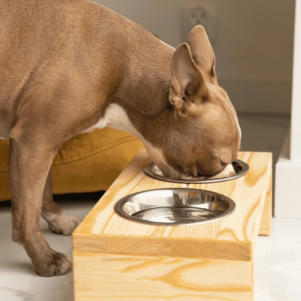 Stojan s miskami pre psa BUZZ S